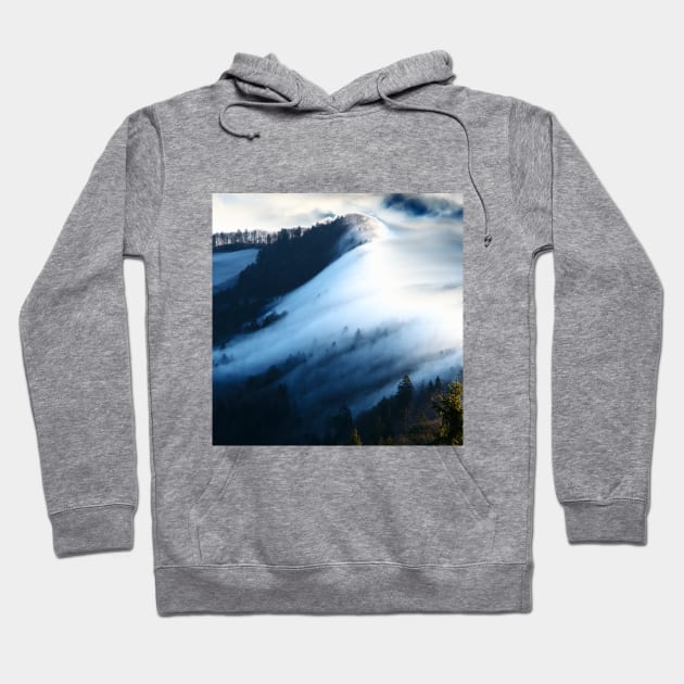 SCENERY 08 - Winter Snow Forest Mountain Frost White Ice Hoodie by artvoria